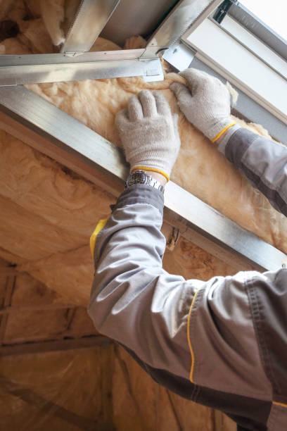 Best Blown-in Insulation  in Pinewood, FL